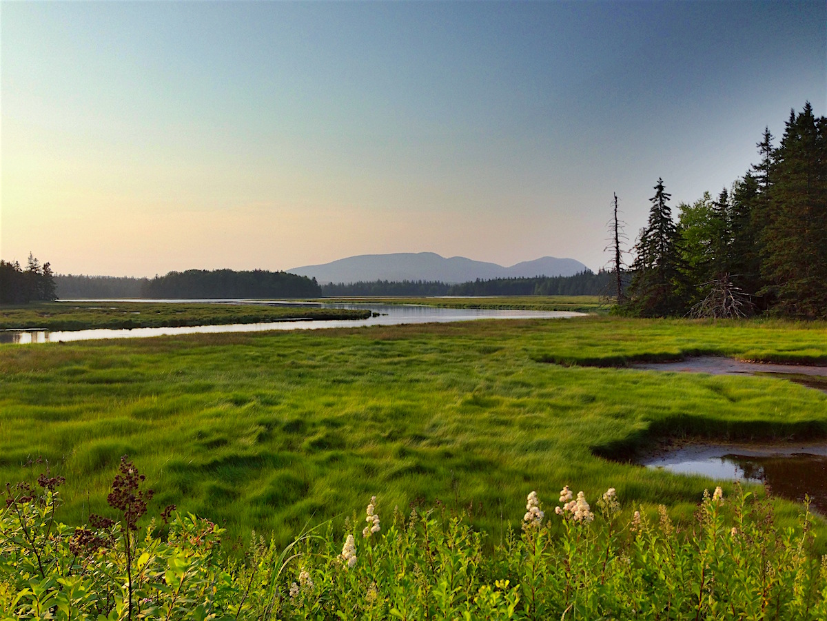 Acadia road trip