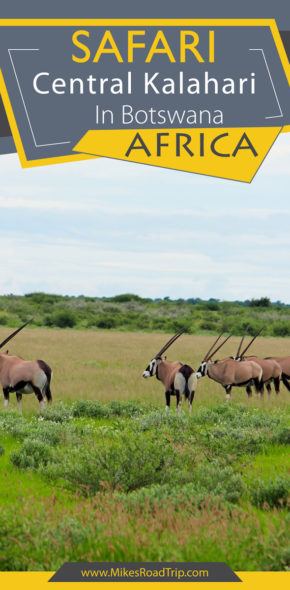 Central Kalahari Safari Pinterest Pin by MikesRoadTrip.com