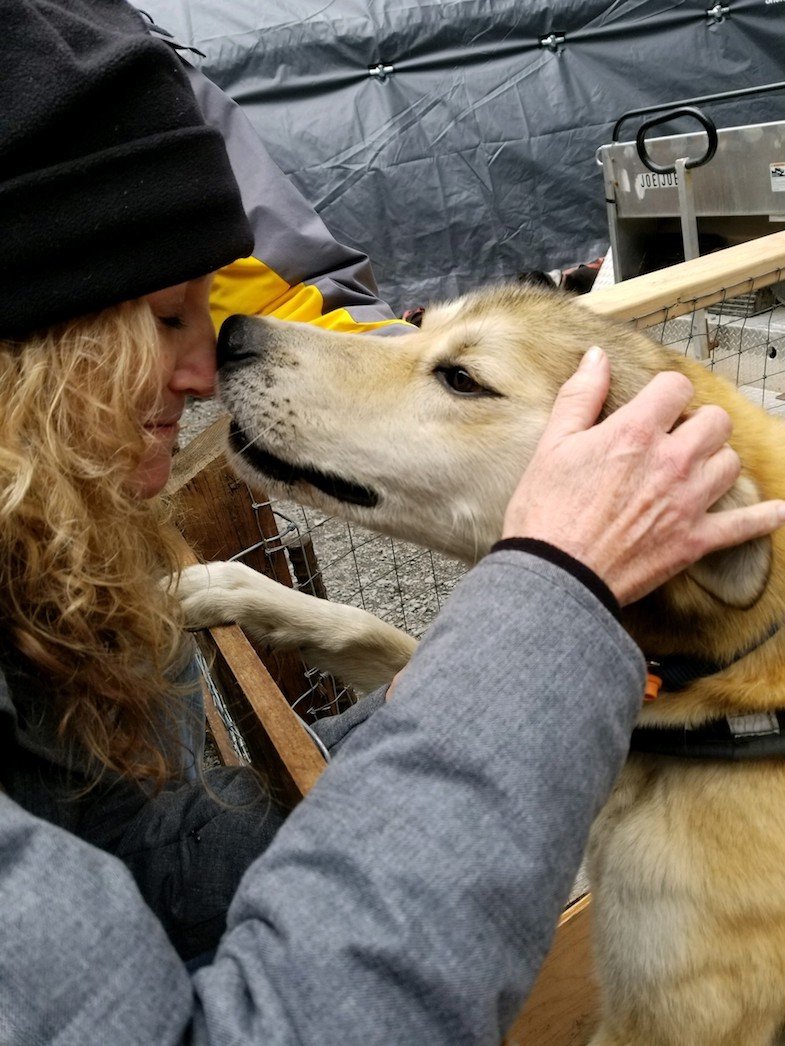 Kellee loving one of the IdidaRide dogs in Seward Alaska