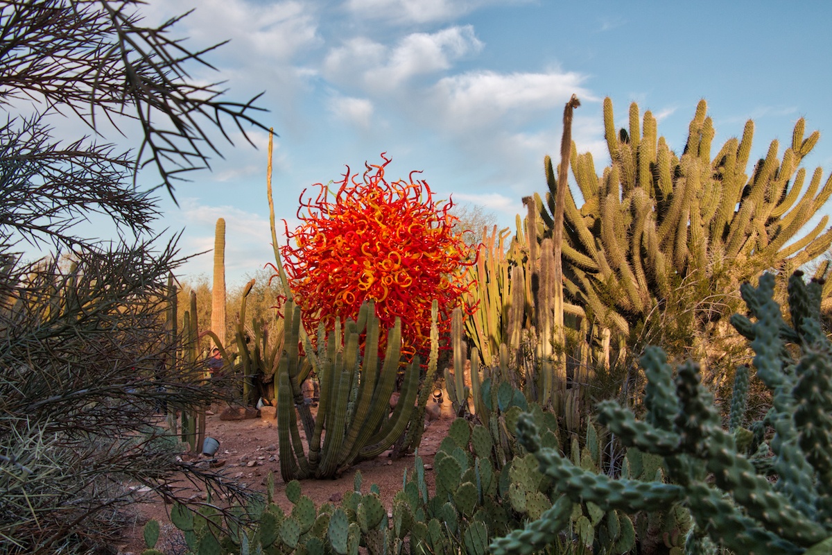 DBG Desert Botanical Garden with glass by MikesRoadTrip.com