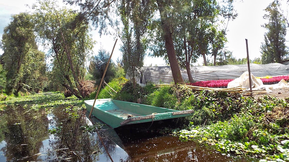 Chinampas near Mexico City