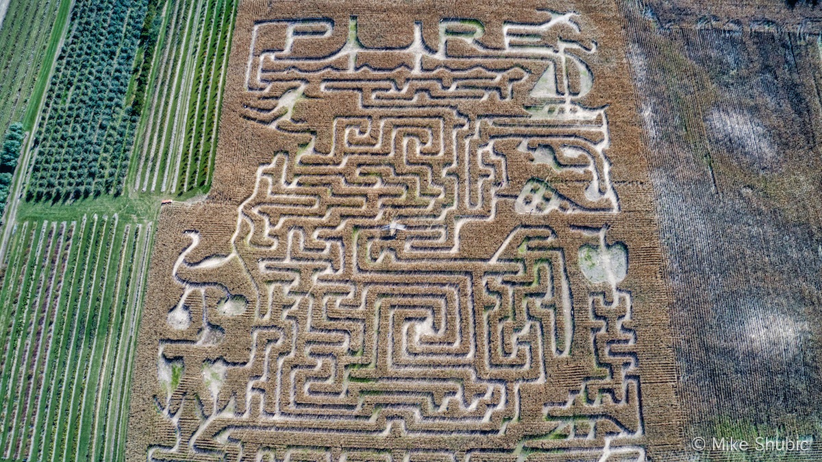 Corn maze in Traverse City by MikesRoadTrip.com