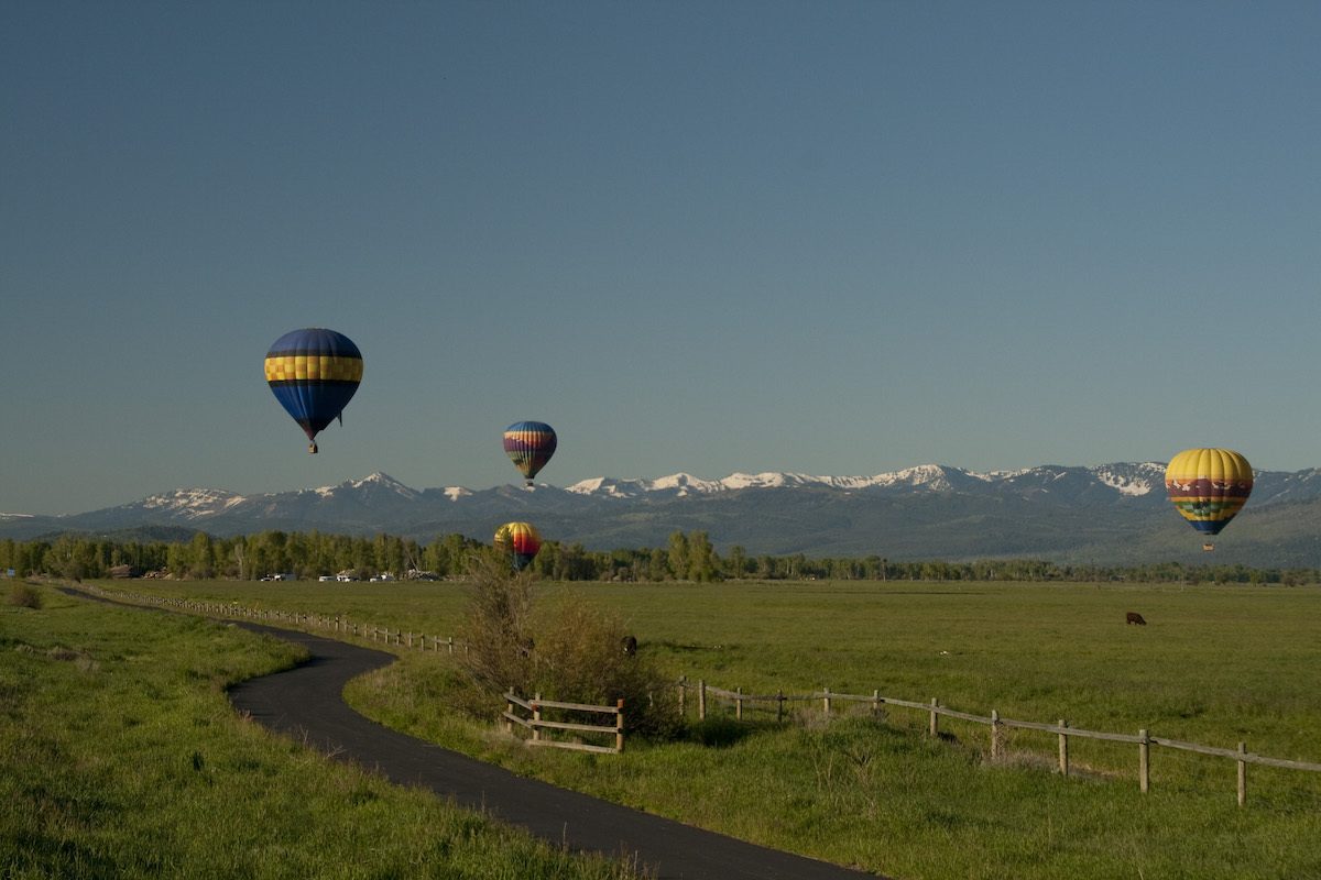 Hot air Balloons in Jackson Wyoming by Mike Shubic