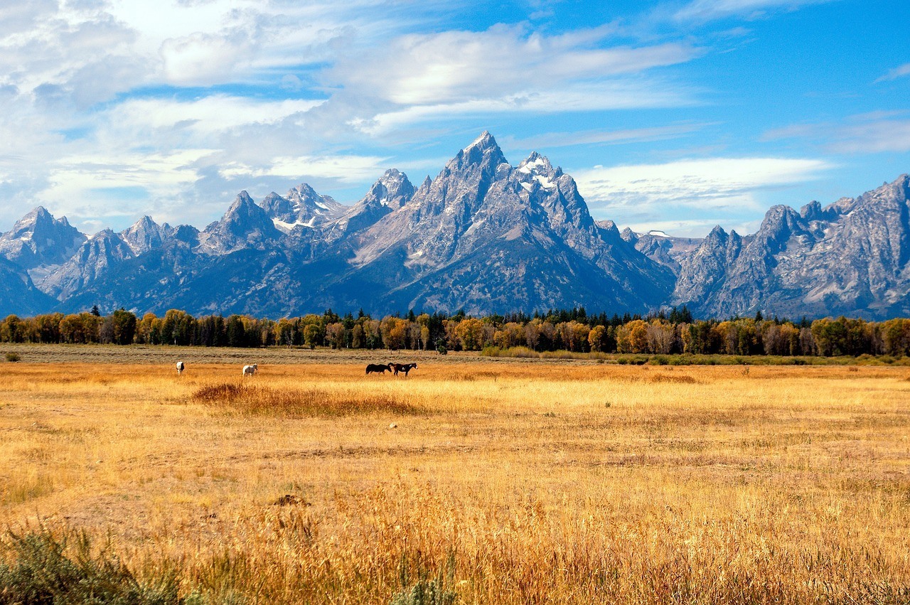 grand-tetons-in-the-fall