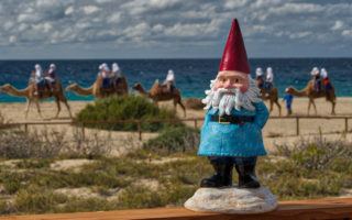 Roaming Gnome with camels in background in Los Cabos: Photo by Mike Shubic