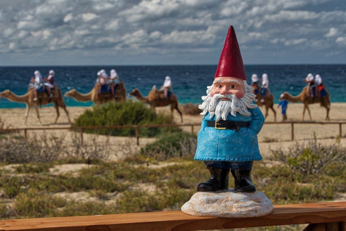 Roaming Gnome with camels in background in Los Cabos: Photo by Mike Shubic