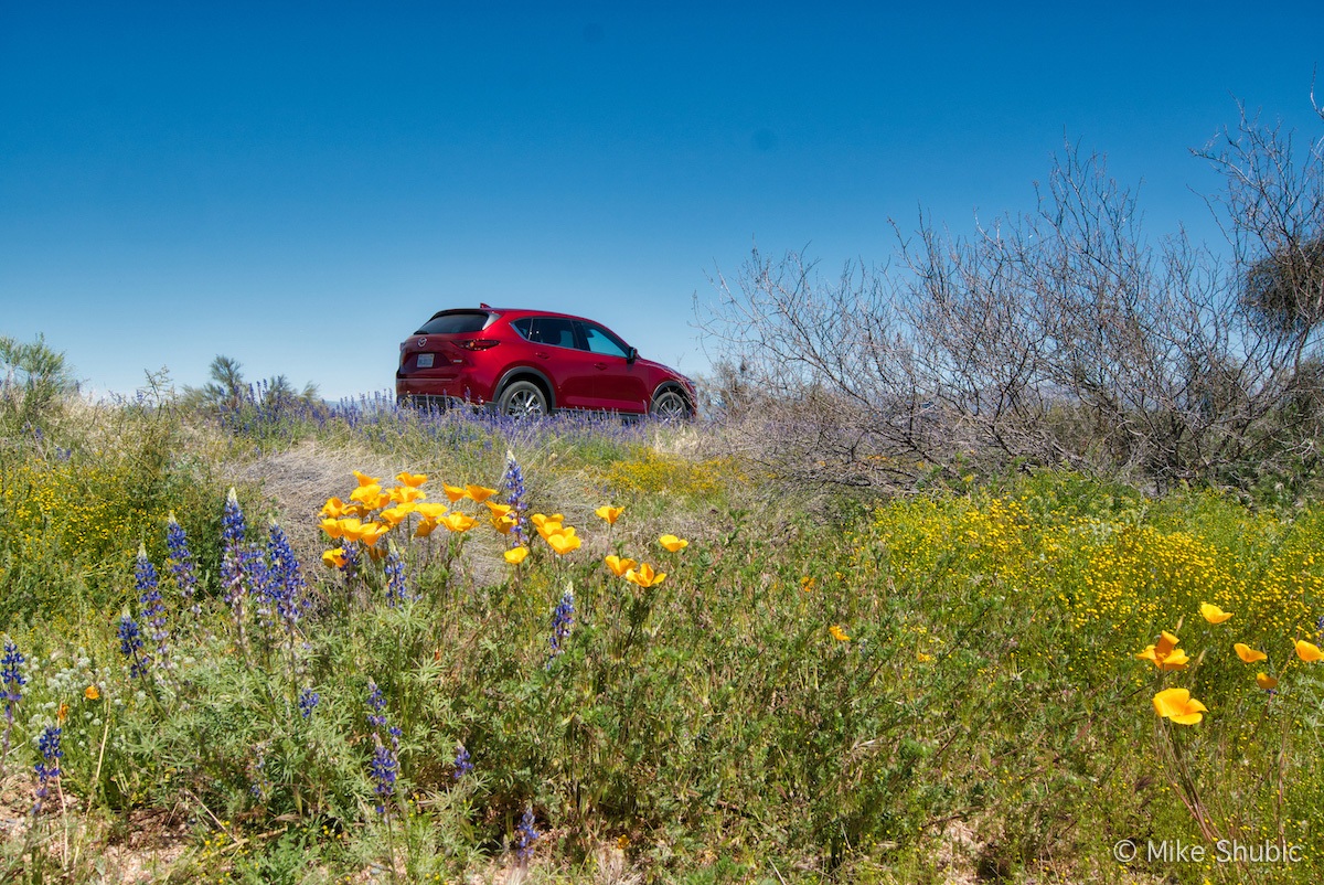 Mazda CX-5 with wildflowerMazda CX-5 with wildflowers