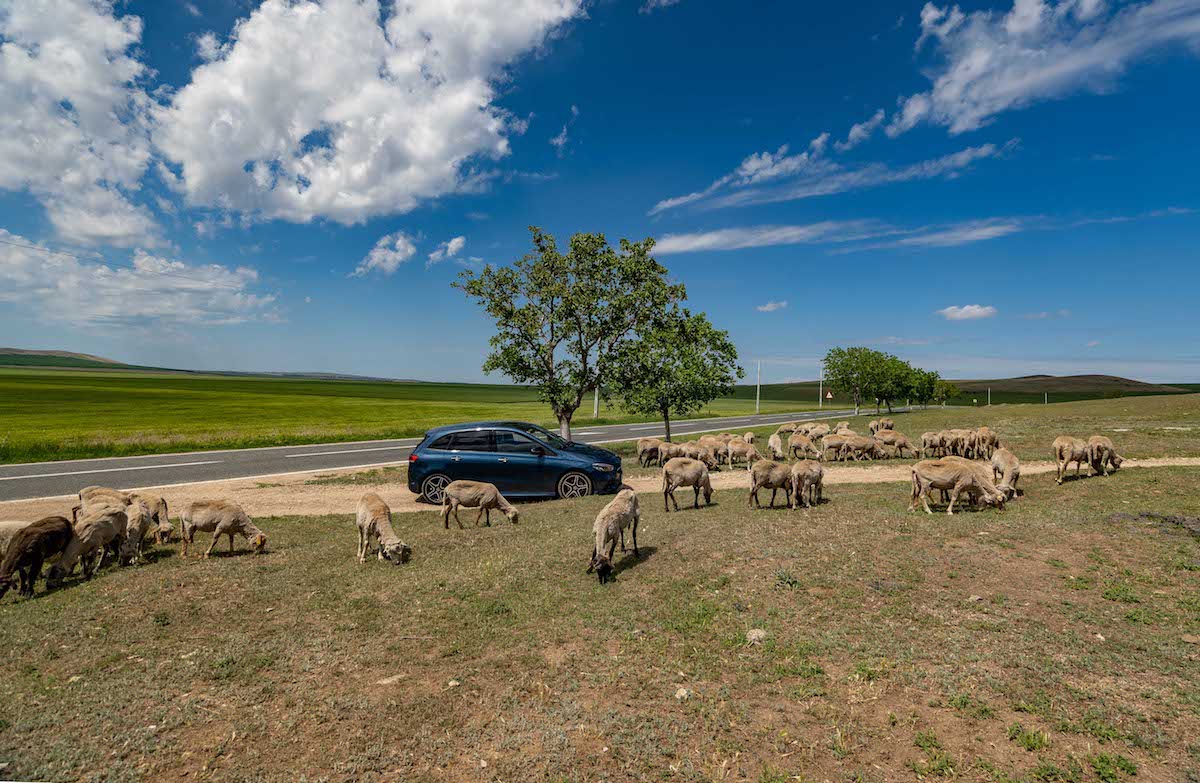 Road Trip Romania in the all new B-Class Mercedes Benz - Photo by Mike of MikesRoadTrip.com