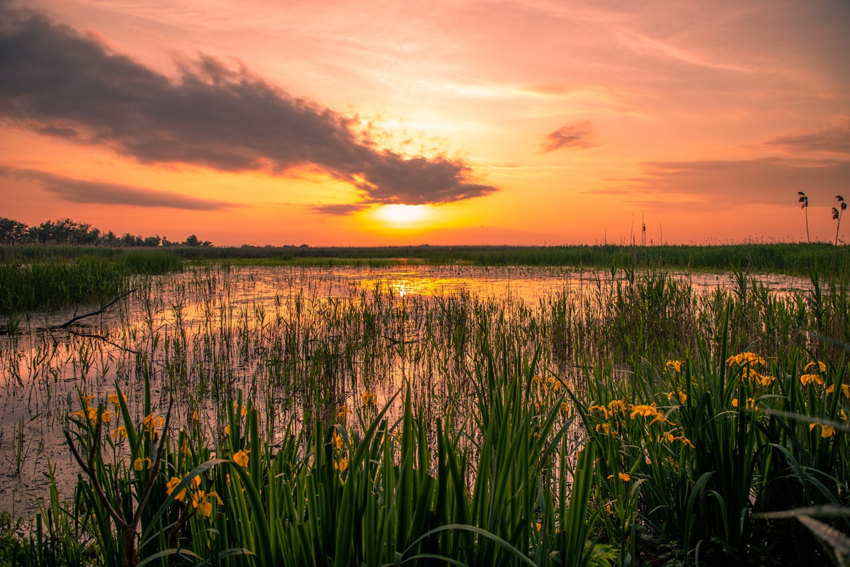 Sunset in the Danube Delta - Photo by: Mihaela Popa of WorldTravelBug.com