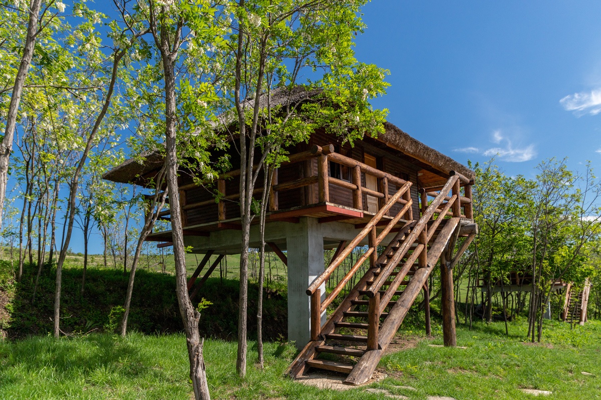 Treehouse at Ferma Dacilor in Romania