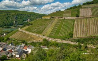 Rudesheim vineyards along Rhine in one of the many incredible places to visit in Germany - Photo by: MikesRoadTrip.com