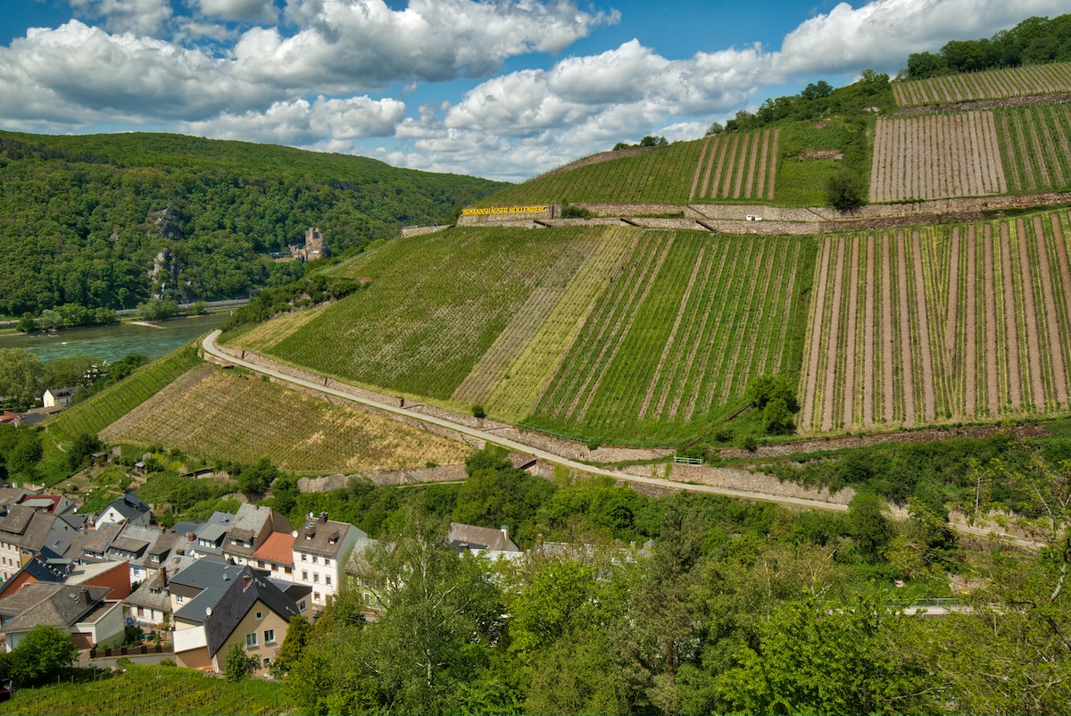 Rudesheim vineyards along Rhine in one of the many incredible places to visit in Germany - Photo by: MikesRoadTrip.com