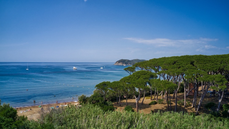 Trees near beach in Populonia Tuscany - Photo by: Mike Shubic of MikesRoadTrip.com