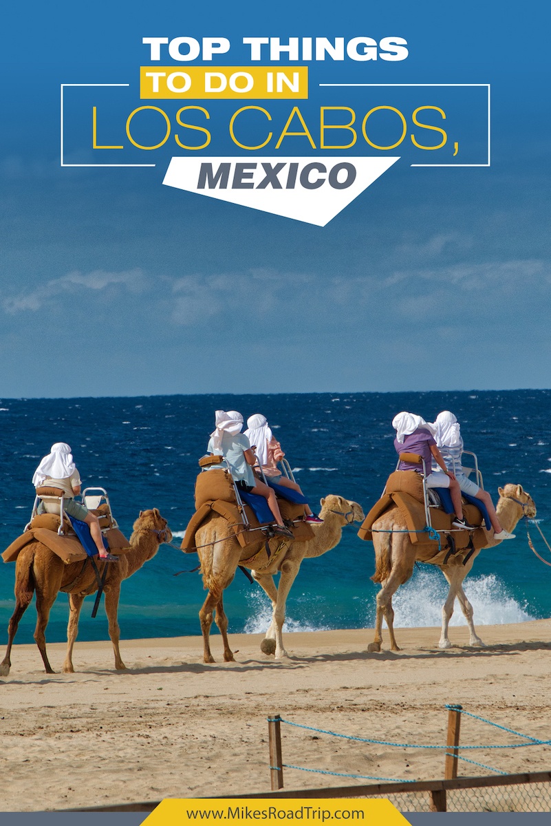 Top things to do in Los Cabos, Mexico