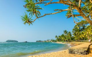 Beautiful wild and exotic Caribbean beach