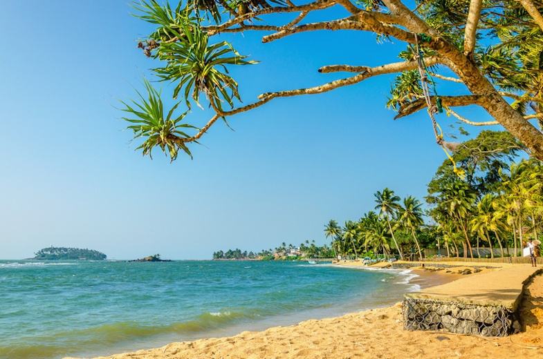 Beautiful wild and exotic Caribbean beach