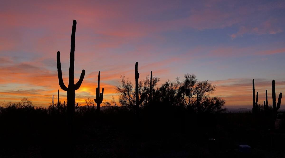 Southern Arizona road trip to Saguaro National Park - Photo by: MikesRoadTrip.com