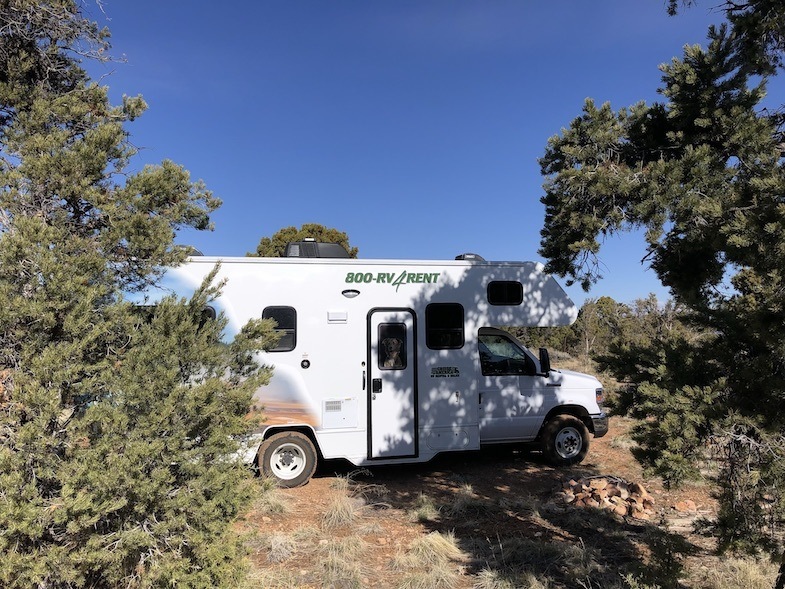 Cruise America RV in AZ forest - Photo by: MikesRoadTrip.com