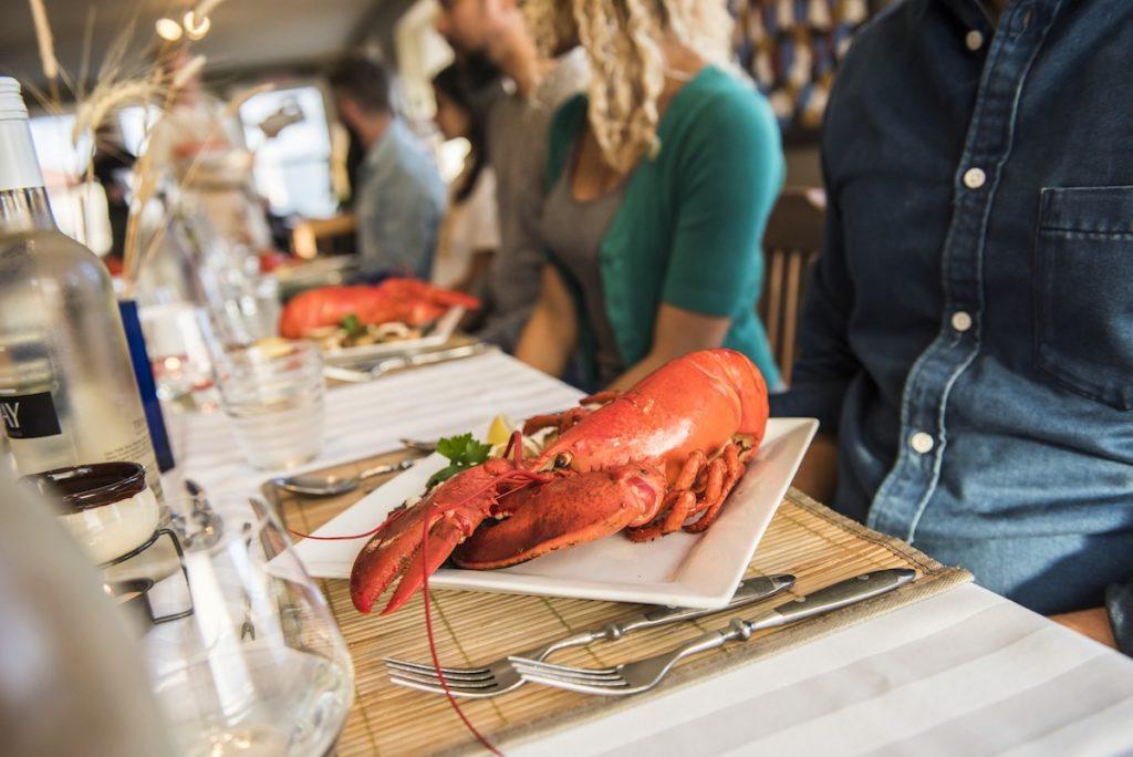 Lobster in Nova Scotia