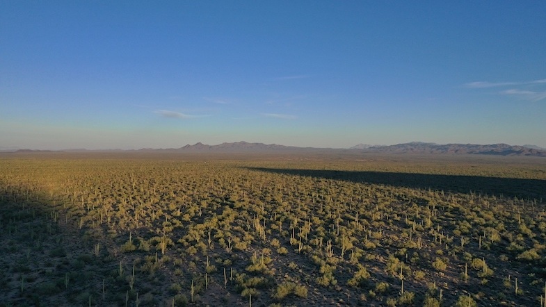 Arizona desert - Photo by MikesRoadTrip.com