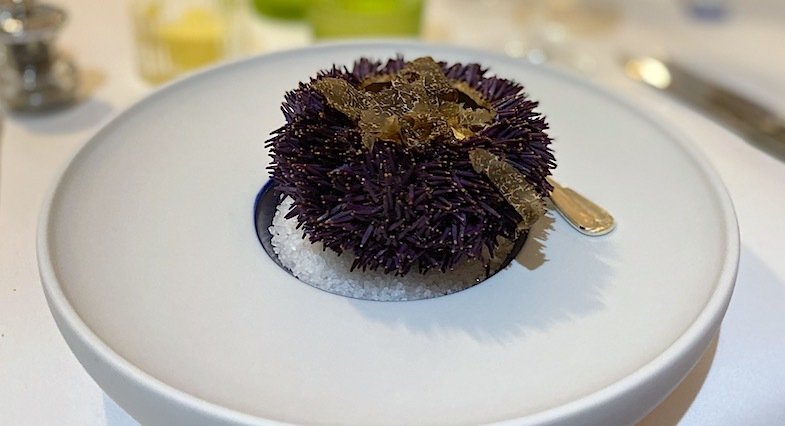 Sea Urchin at Le Rabassier in Brussels 