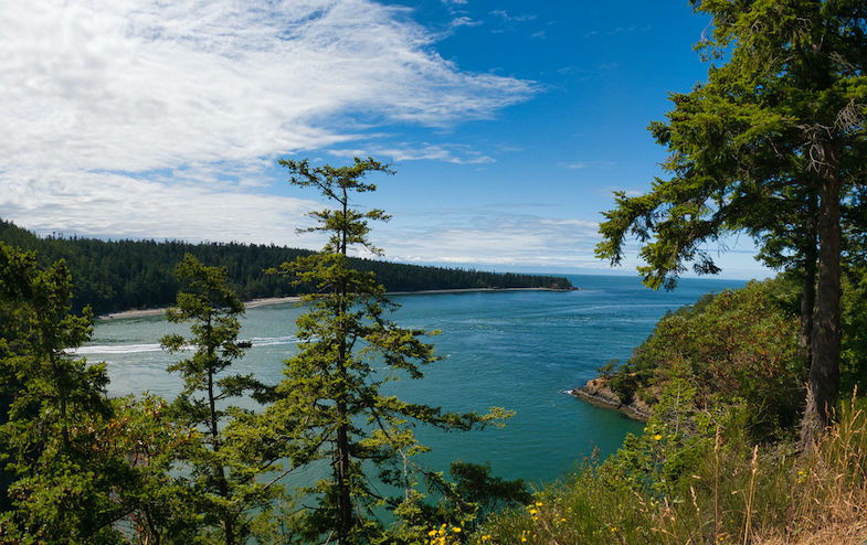 View from Deception Pass near La Connor, WA - Photo by Mike Shubic of MikesRoadTrip.com