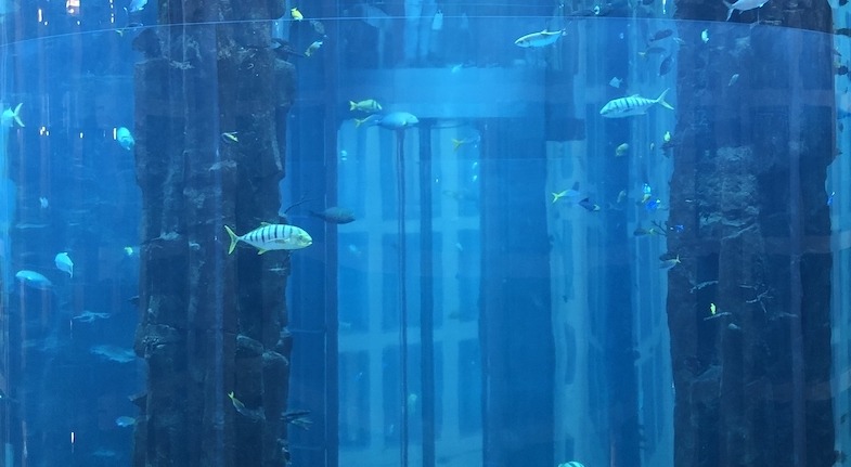 radisson blu berlin aquarium