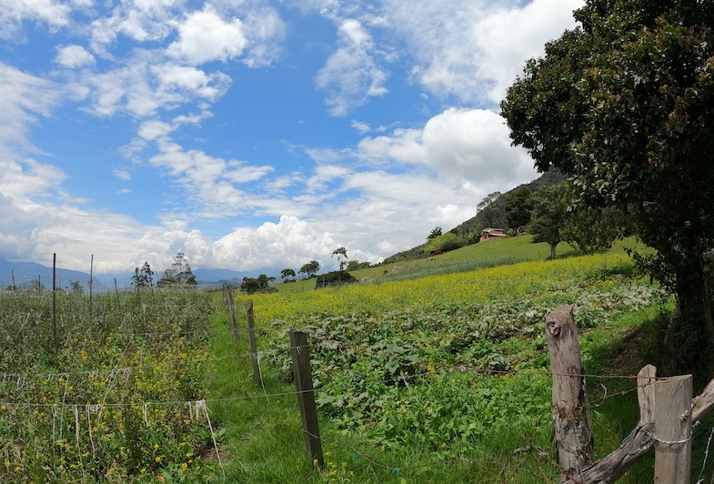 Farmlands in the mountains outside of Bogota - Photo by: Mike Shubic of MikesRoadTrip.com