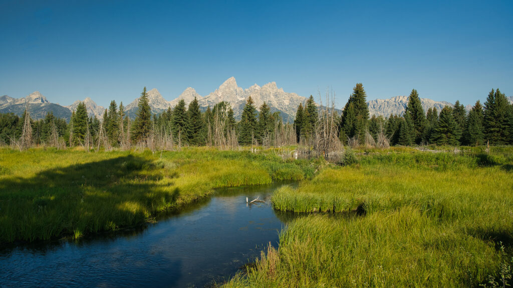 Best of Grand Teton National Park in 48 hours. - Image by Mike Shubic of MikesRoadTrip.com 