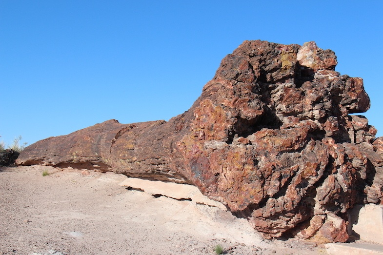 Petrified Forest is one of the top places to visit in Arizona - Photo by Mike Shubic of MikesRoadTrip.com