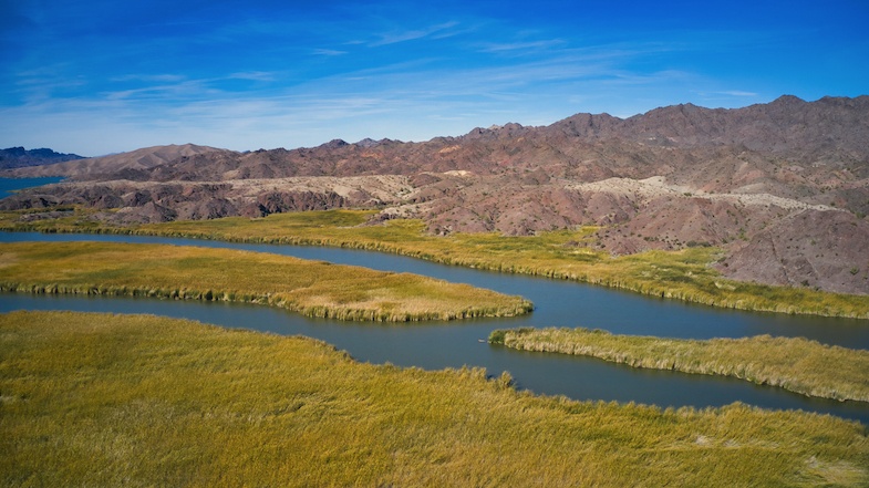 Bill Williams River National Wildlife Refuge - Photo by: Mike Shubic