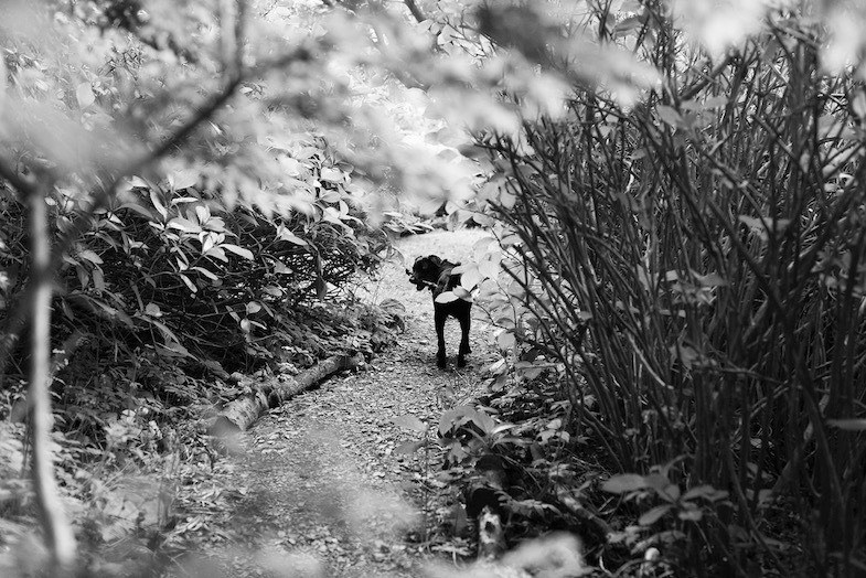 Tyson Path B&W