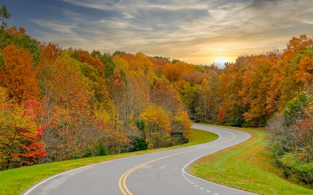 Natchez Trace Parkway in Tennessee is one of the most scenic roads in the US