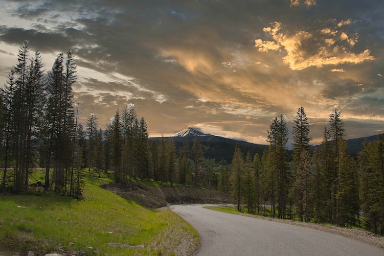 The Bitterroot National Forest