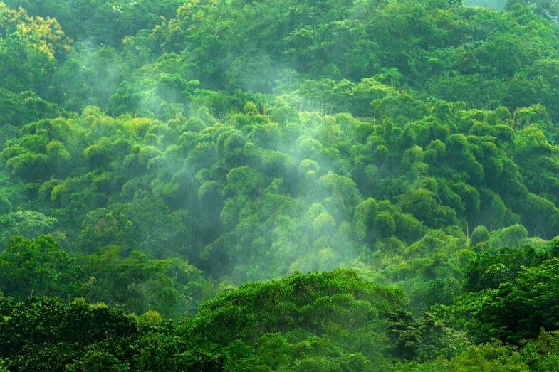 Santa Marta Colombia