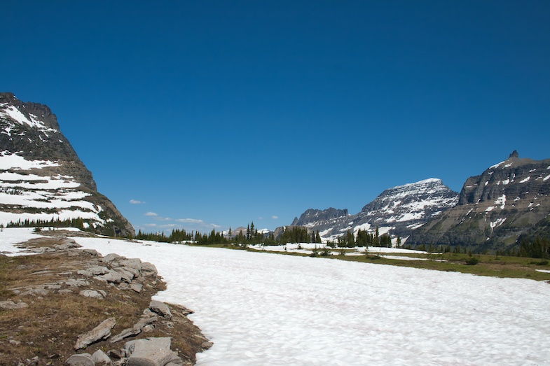 Glacier at Glacier National Park 