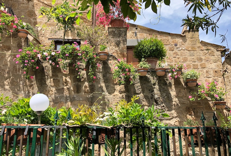 House with lots of plants in Tuscany