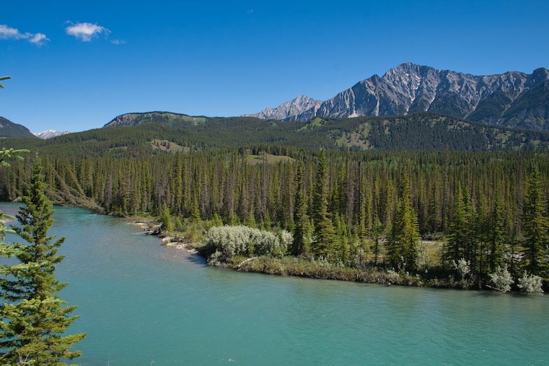 River through Banff National Park