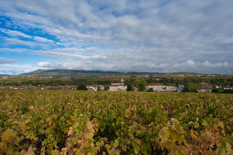 Beaujolais Wine Country while on a Rhone River Cruise with Viking - Photo by Mike Shubic