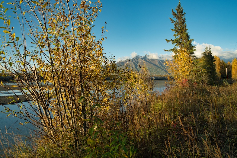 Alaskan Adventure 