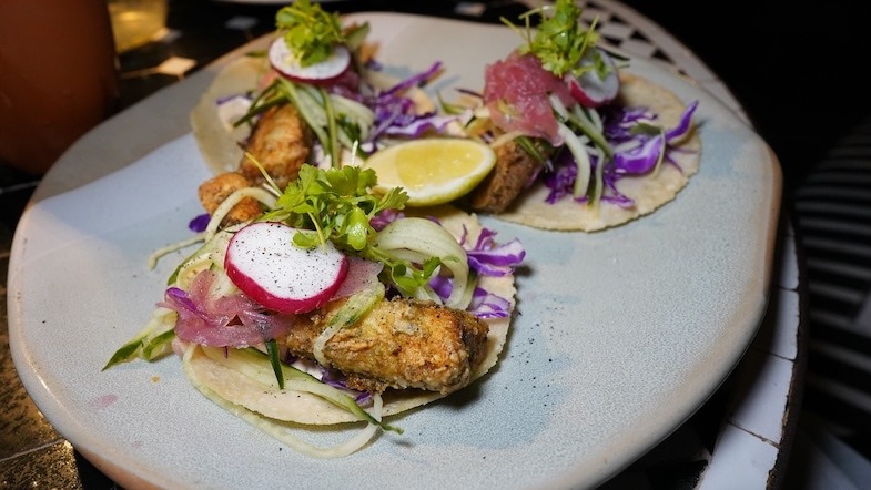 Fish tacos at Domingo Restaurante at the Canopy by Hilton in San Antonio - Photo by Mike Shubic