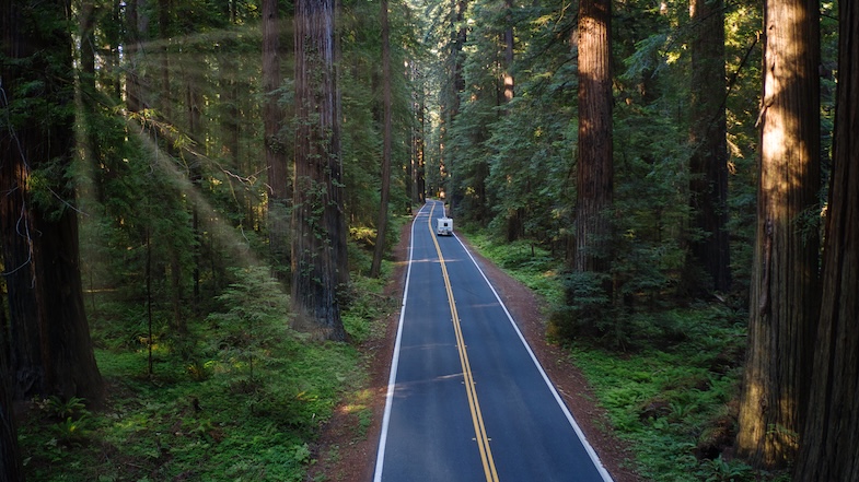 Sonoma to Mendocino Road Trip through the redwoods